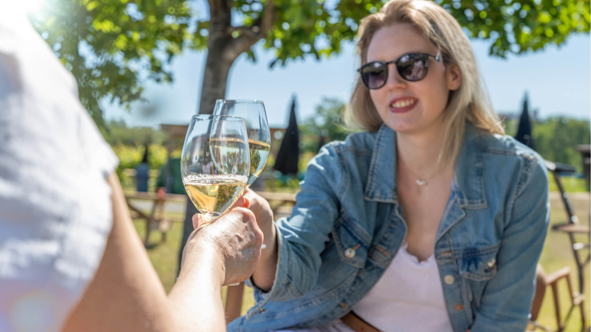 Friends toasting with white wine.